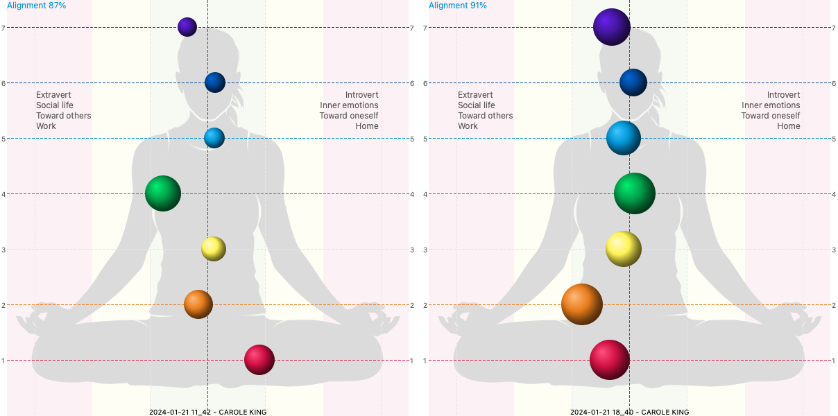 Bio-Well 3.0 Kirlian Fotografie Kamera